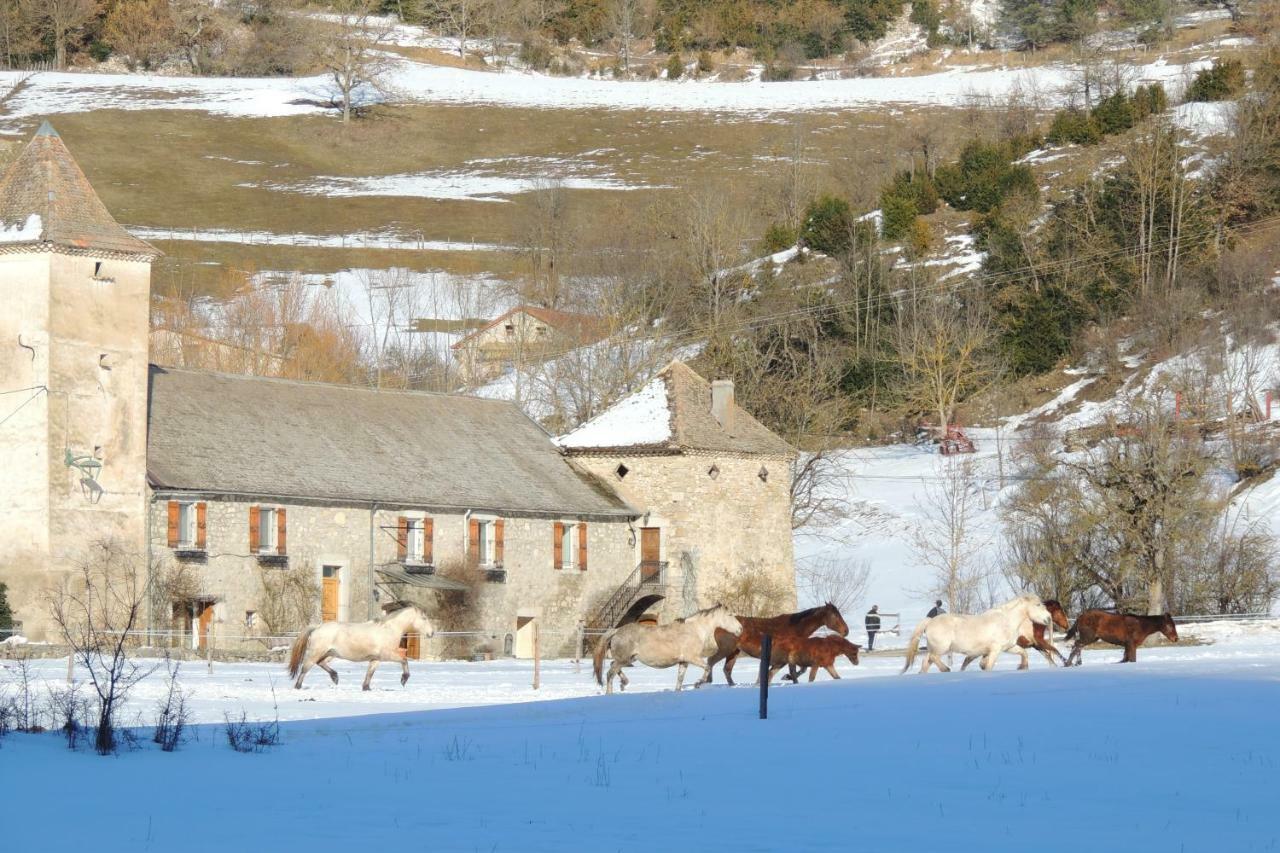 Glandage Le Colombier Bed & Breakfast エクステリア 写真